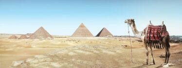 Day Tour to Giza Pyramids And Grand Egyptian Museum (GEM)
