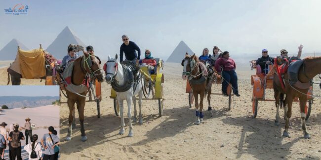 Group Safari & Cultural Tours Group Safari & Cultural Tours