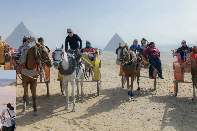 Group Safari & Cultural Tours