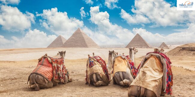Cairo Day Tours Travel Cairo Day Tours | Travel