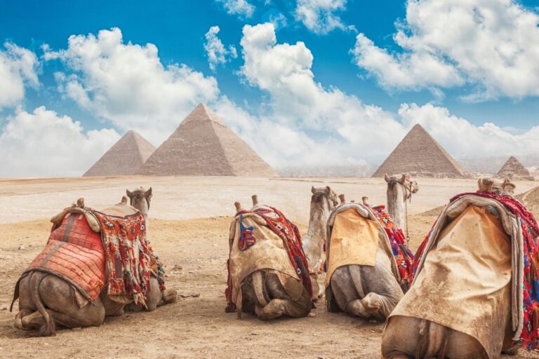 Cairo Day Tours | Travel